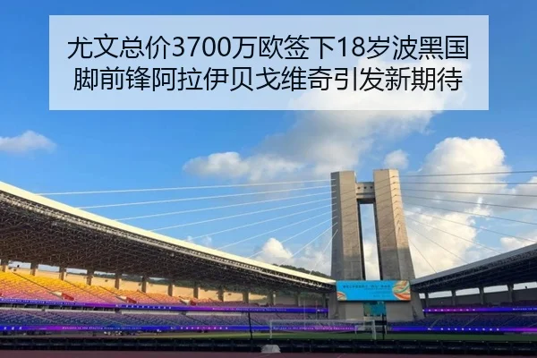 尤文总价3700万欧签下18岁波黑国脚前锋阿拉伊贝戈维奇引发新期待